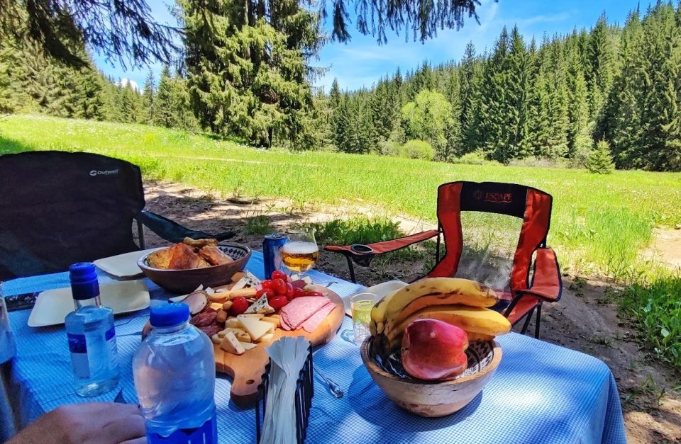 Brunch in the Forest