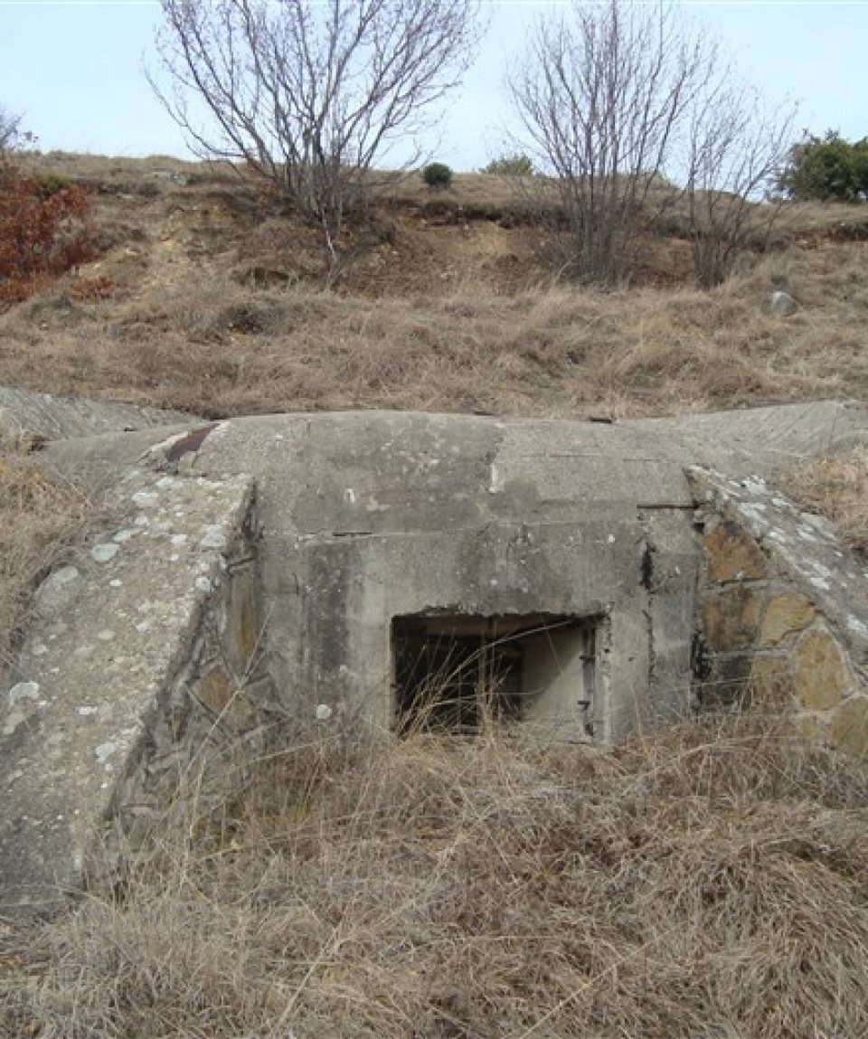 oxyro mpampazora
